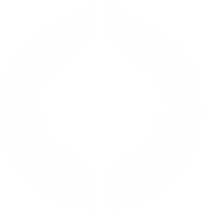 SMART171 Logo